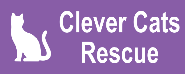 Clever Cats Rescue